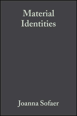 Группа авторов. Material Identities