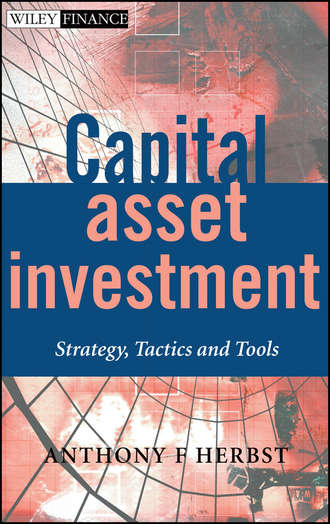 Группа авторов. Capital Asset Investment