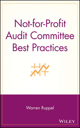 Группа авторов. Not-for-Profit Audit Committee Best Practices