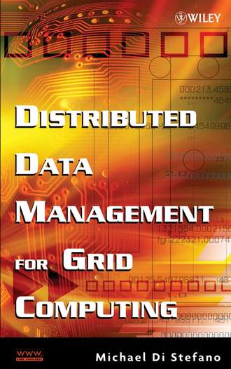 Группа авторов. Distributed Data Management for Grid Computing