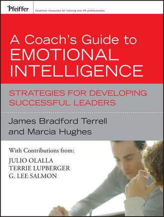 Marcia  Hughes. A Coach's Guide to Emotional Intelligence