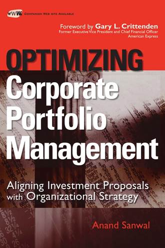 Группа авторов. Optimizing Corporate Portfolio Management