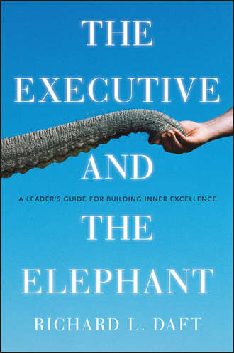 Richard Daft L.. The Executive and the Elephant