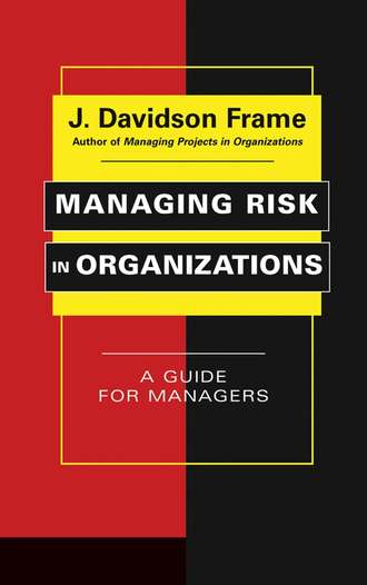Группа авторов. Managing Risk in Organizations