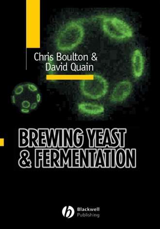 David  Quain. Brewing Yeast and Fermentation