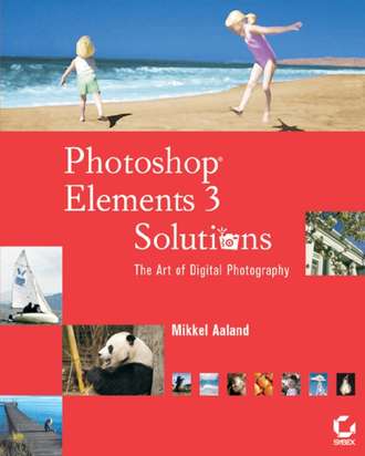 Mikkel  Aaland. Photoshop Elements 3 Solutions