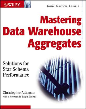 Группа авторов. Mastering Data Warehouse Aggregates