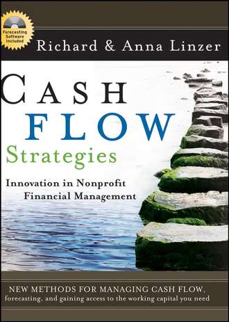Anna Linzer O.. Cash Flow Strategies