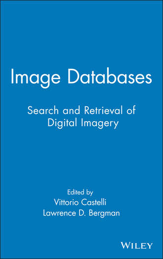 Vittorio  Castelli. Image Databases