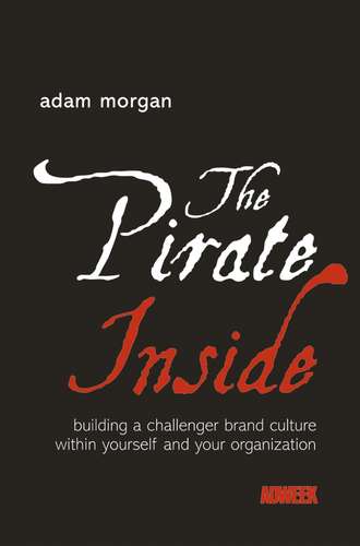 Группа авторов. The Pirate Inside