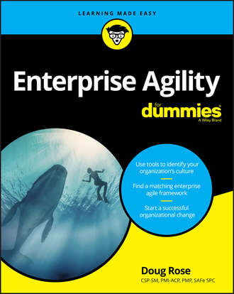 Группа авторов. Enterprise Agility For Dummies
