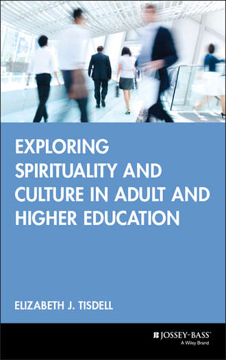 Группа авторов. Exploring Spirituality and Culture in Adult and Higher Education