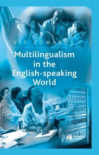 Группа авторов. Multilingualism in the English-Speaking World