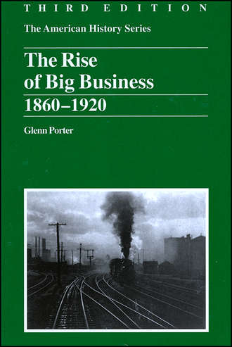 Группа авторов. The Rise of Big Business
