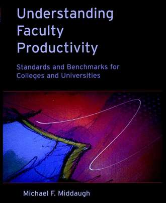 Группа авторов. Understanding Faculty Productivity