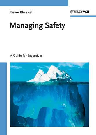 Группа авторов. Managing Safety