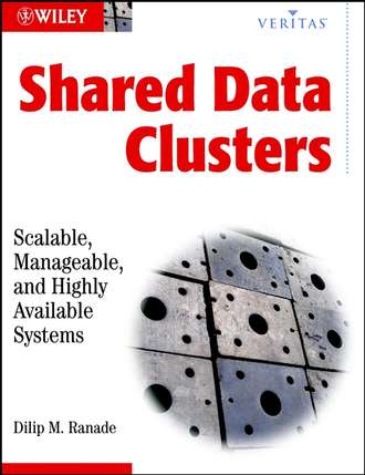 Группа авторов. Shared Data Clusters