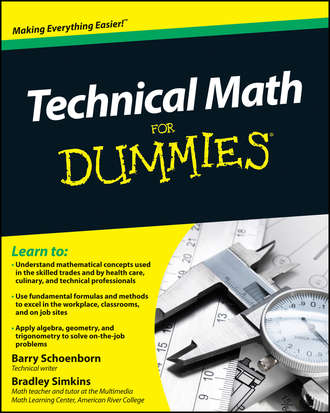 Barry  Schoenborn. Technical Math For Dummies