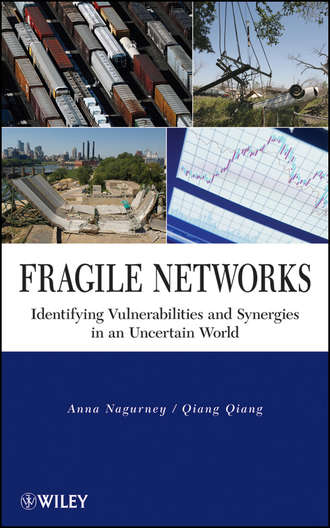 Anna  Nagurney. Fragile Networks