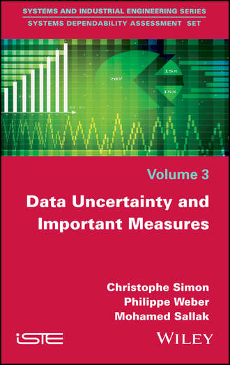 Philippe  Weber. Data Uncertainty and Important Measures