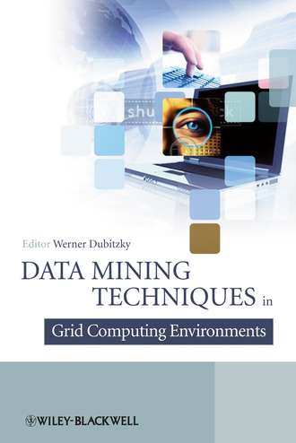 Группа авторов. Data Mining Techniques in Grid Computing Environments