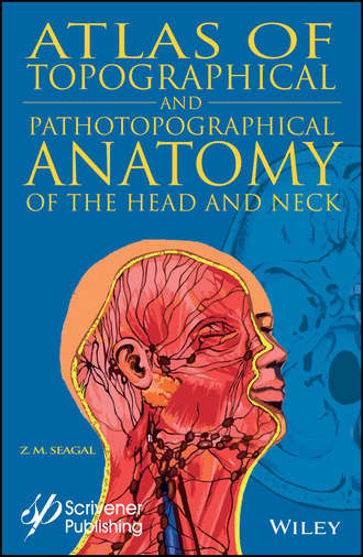 Группа авторов. Atlas of Topographical and Pathotopographical Anatomy of the Head and Neck