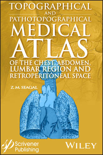 Группа авторов. Topographical and Pathotopographical Medical Atlas of the Chest, Abdomen, Lumbar Region, and Retroperitoneal Space