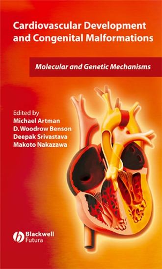 Michael  Artman. Cardiovascular Development and Congenital Malformations