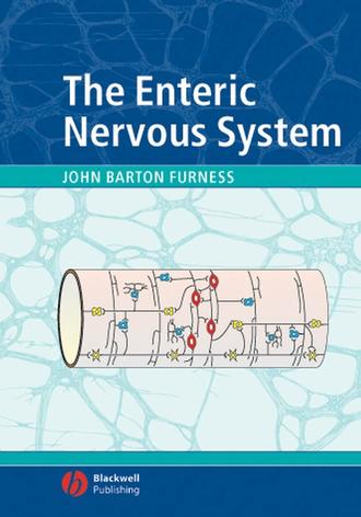 Группа авторов. The Enteric Nervous System