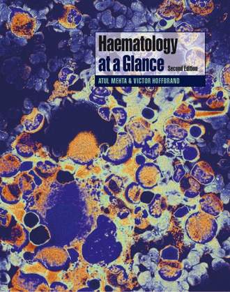 A. Victor Hoffbrand. Haematology at a Glance