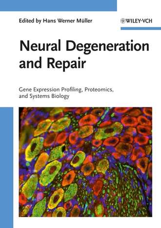 Группа авторов. Neural Degeneration and Repair