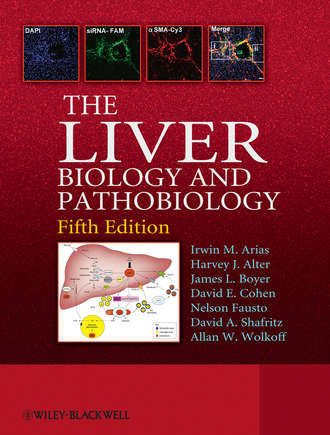 Nelson  Fausto. The Liver