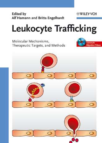 Alf  Hamann. Leukocyte Trafficking