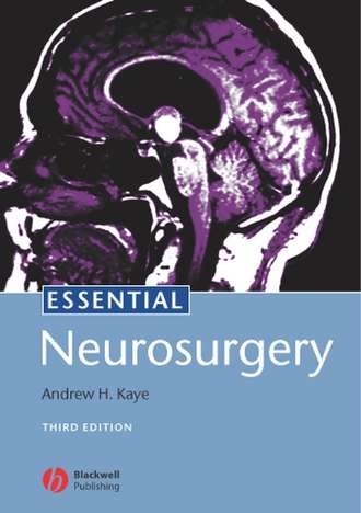 Группа авторов. Essential Neurosurgery