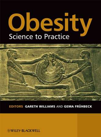 Gareth  Williams. Obesity