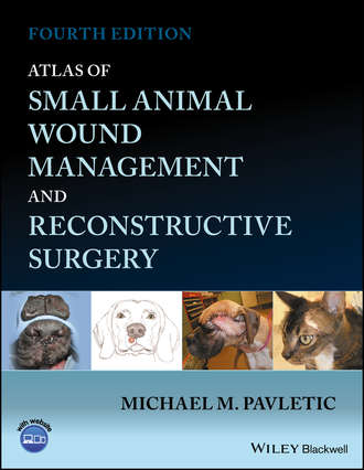Группа авторов. Atlas of Small Animal Wound Management and Reconstructive Surgery