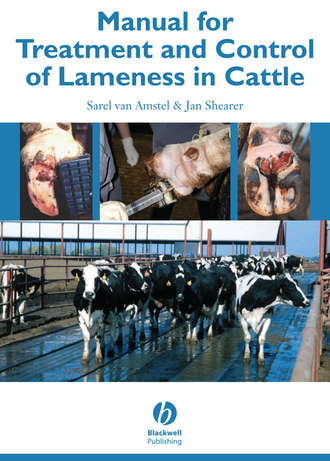 Jan  Shearer. Manual for Treatment and Control of Lameness in Cattle