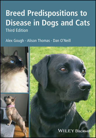Breed Predispositions to Disease in Dogs and Cats. 