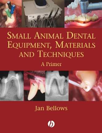 Группа авторов. Small Animal Dental Equipment, Materials and Techniques