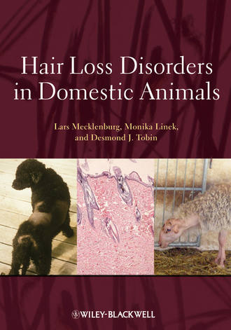 Lars  Mecklenburg. Hair Loss Disorders in Domestic Animals