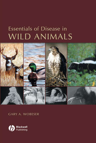 Группа авторов. Essentials of Disease in Wild Animals
