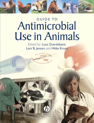 Luca  Guardabassi. Guide to Antimicrobial Use in Animals