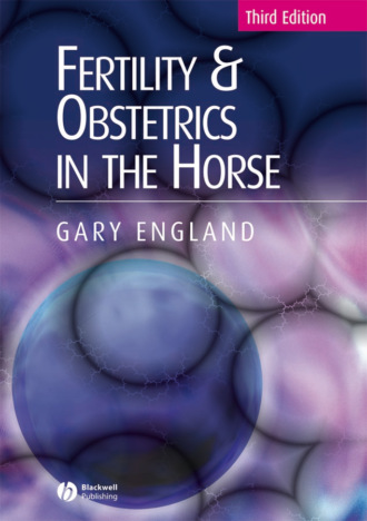 Группа авторов. Fertility and Obstetrics in the Horse