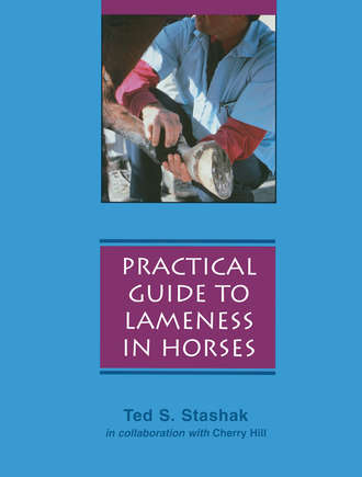 Cherry  Hill. Practical Guide to Lameness in Horses