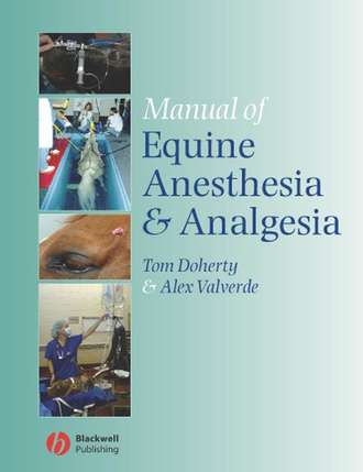 Tom  Doherty. Manual of Equine Anesthesia and Analgesia