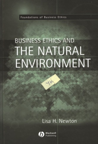 Группа авторов. Business Ethics and the Natural Environment