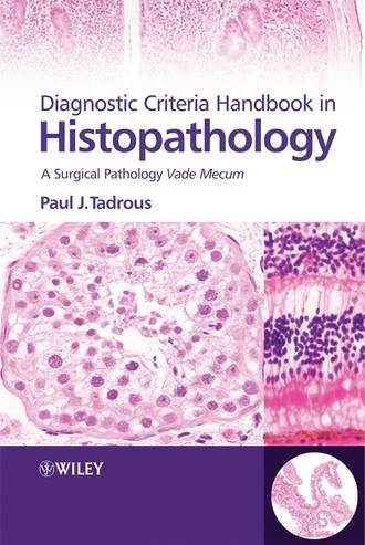 Группа авторов. Diagnostic Criteria Handbook in Histopathology