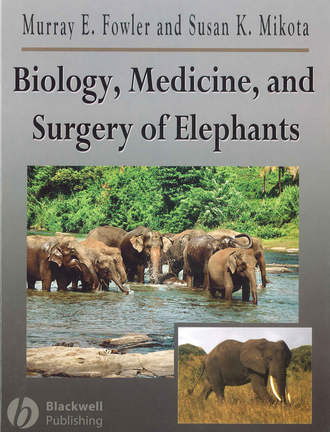 Biology, Medicine, and Surgery of Elephants. Murray  Fowler