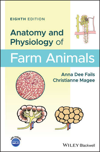 Christianne  Magee. Anatomy and Physiology of Farm Animals