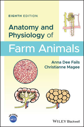 Anatomy and Physiology of Farm Animals. Christianne  Magee